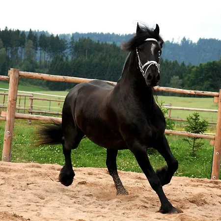 Jizdarna Hejtmankovice Broumov