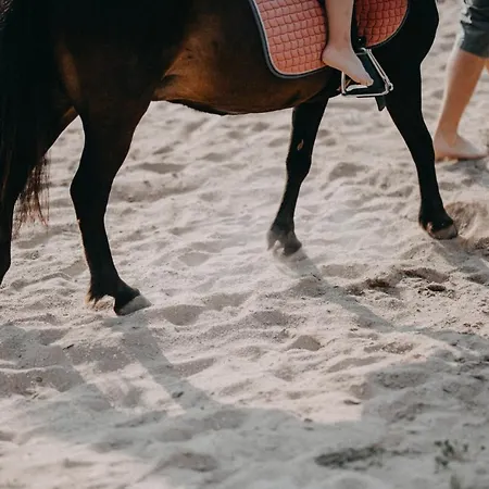 Apartament Jizdarna Hejtmankovice *